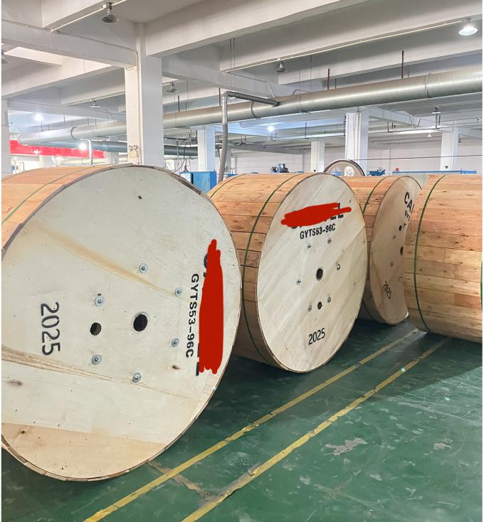 Werkseitig gelagerte Outdoor-Doppelarmierte GYTS53-96-Kern-Glasfaserkabel mit Doppelmantel G652D, Versand am selben Tag 10