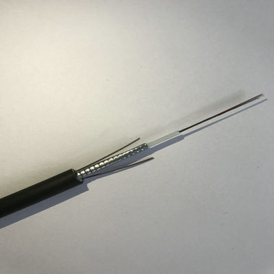 GYXTW Einröhrchen-Panther-Optikkabel aus Glasfaser 2 4 6 8 12 24