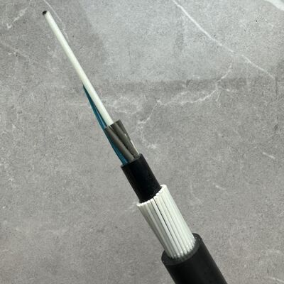 GYFTY83 gegen Nagetiere gepanzerte FRP-Festung 12 24 48Core Glasfaserkabel