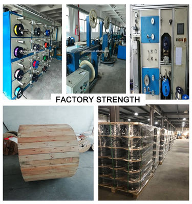 Direkter begrabener Kern-Lichtwellenleiter GYTA53 G652D 36