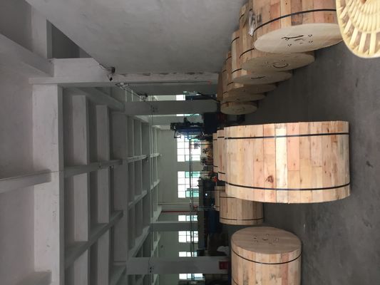 500M Figure 8 Kern GYTC8S der Lichtwellenleiter-Selbstunterstützungs48