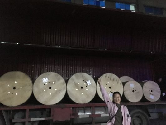 Der 36 Kern-Lichtwellenleiter im Freien schwemmte loses Röhrenstahl-Band gepanzertes GYTA an