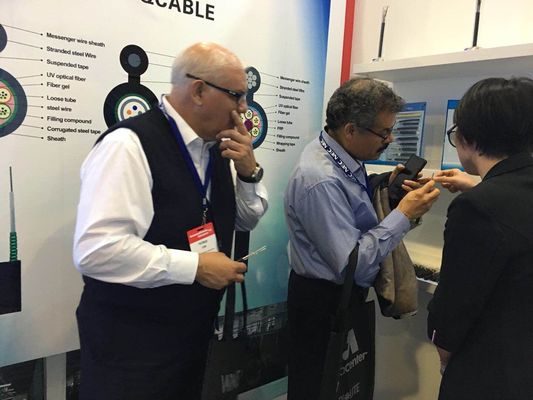 Nicht Faseroptikuntertagekabel des Metallantinagetier-GYFTY6363