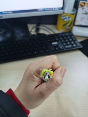 Nicht metallische einzelne Spanne G652D der Jacken-ADSS des Lichtwellenleiter-6/12/24/48/96 des Kern-100/200m